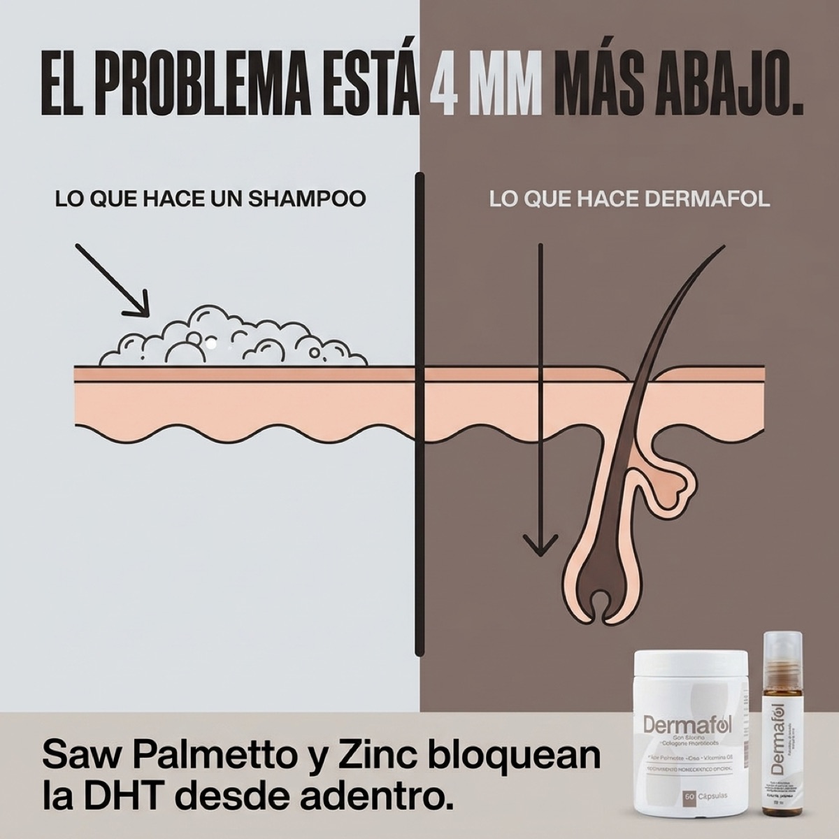 Ilustración de la profundidad a la que actúa un shampoo frente a la del folículo.